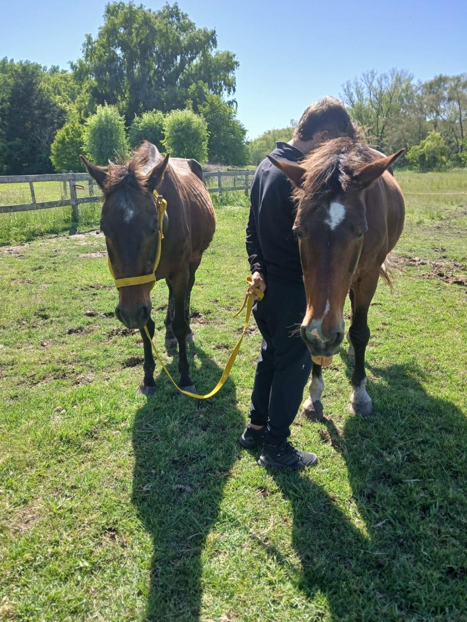 Antonía Indart con los caballos